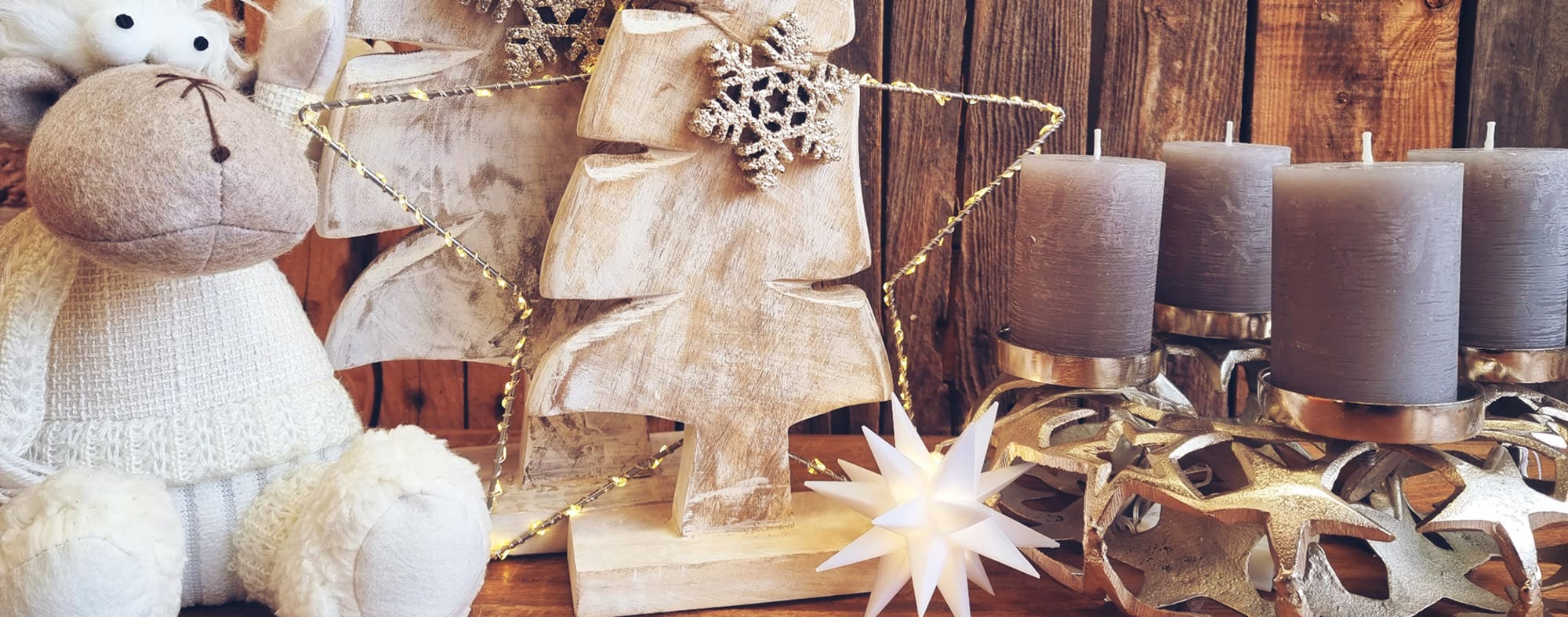 BOTEX Themenwelt Winter